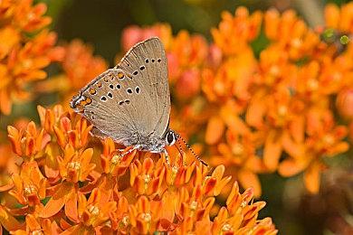 国产科幻独立游戏《逐光星火》首曝PV，上架Steam