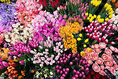 世嘉将停售《索尼克：起源》中包含的单独游戏