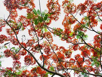 《杰克驴铁匠 武器与战士》Steam页面 年内发售